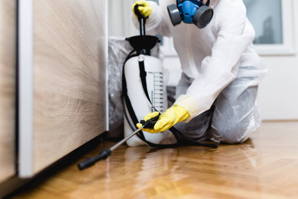 Pest Control for Restaurants in Brillion, WI