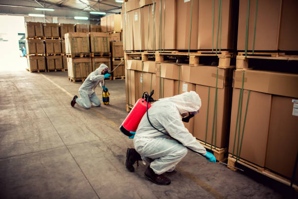 Reliable Brillion, WI Pest Control Solutions