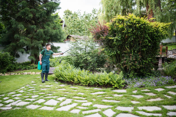 Best Exterminator Services  in Brillion, WI