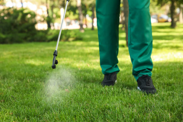 Best Exterminator Services  in Brillion, WI