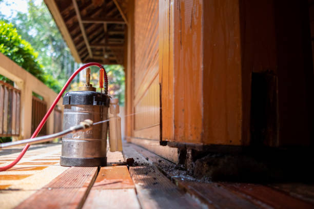 Best Ant Control Services  in Brillion, WI