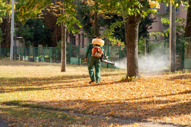 Best Termite Control Services  in Brillion, WI