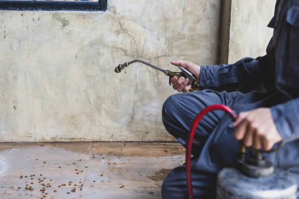 Best Local Pest Control Services  in Brillion, WI